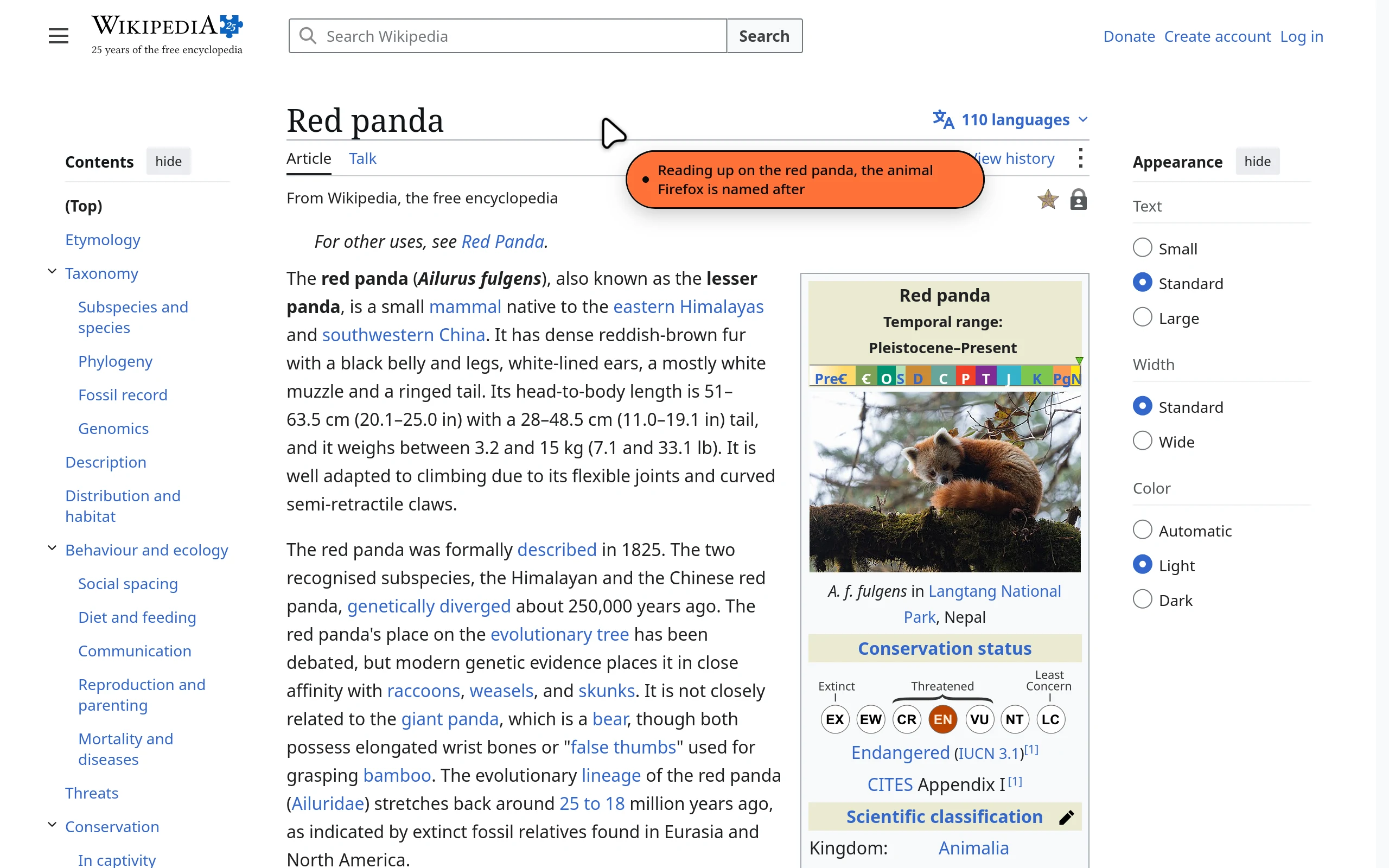 A Wikipedia article on the red panda. A cursor rests on the title with an orange bubble that reads: Reading up on the red panda, the animal Firefox is named after.
